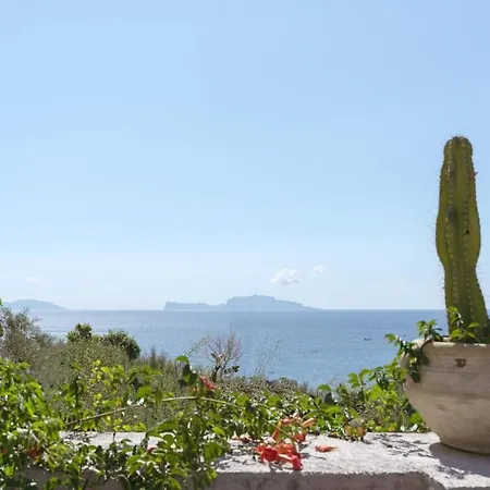 Capri Sight